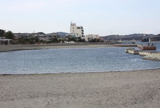 岡崎海岸（平成21年）