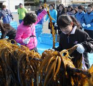 9.地域ブランド及び 地産地消の推進