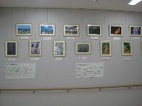 鳴門の動植物写真コンクール入賞作品