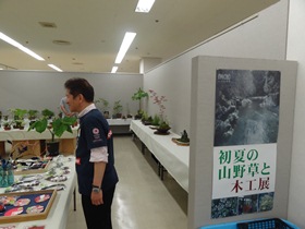 初夏の山野草と木工展