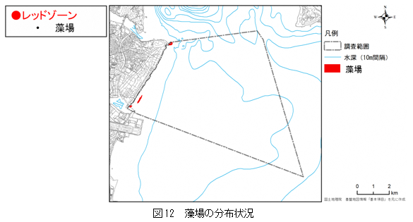 図12　藻場の分布状況