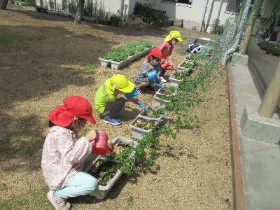 堀江南幼稚園