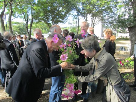 During the Cosmos Friendship Festival