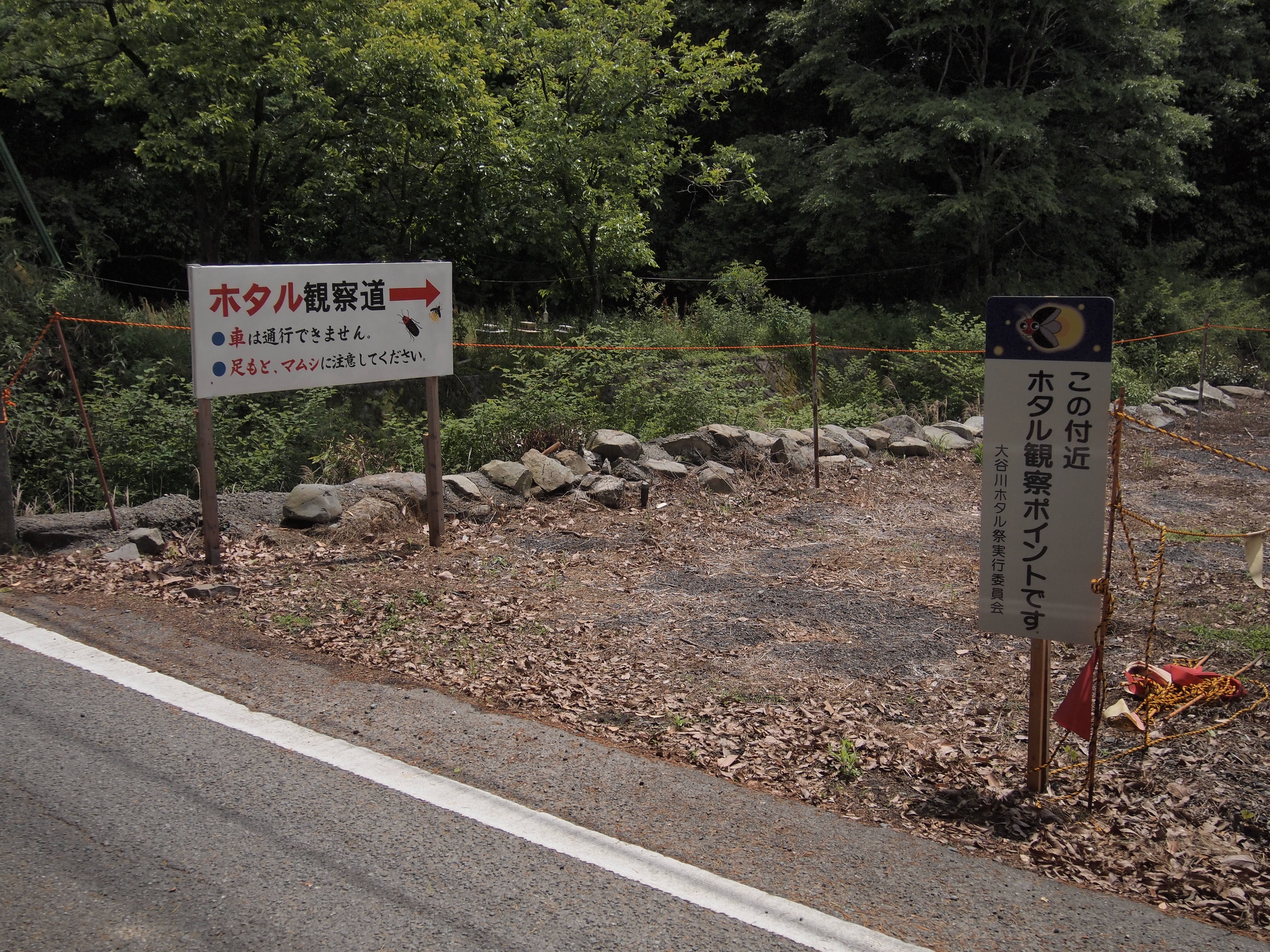 hotaru_kansatsudou