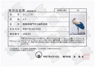 特別住民票(心)
