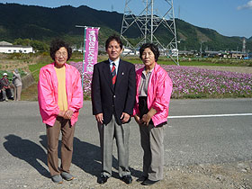 鳴門市友好コスモス祭り