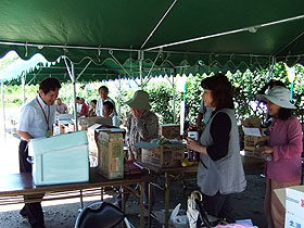 ハマボウ祭り（堀江小学校前）