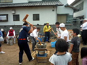 鳴門市友好コスモス祭り２０１１（黒崎花広場）