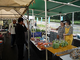 鳴門市友好のコスモス祭り２０１１（鳴門ウチノ海総合公園）