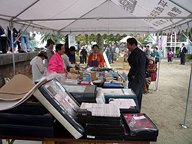 鳴門市友好のコスモス祭り2011（汽車公園）