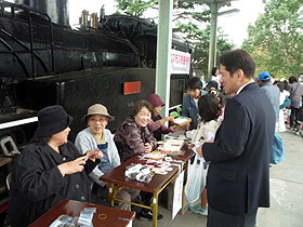 鳴門市友好のコスモス祭り2011（汽車公園）