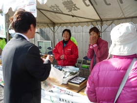 鳴門市友好コスモスまつり２０１１