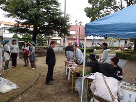 鳴門市友好コスモス祭り