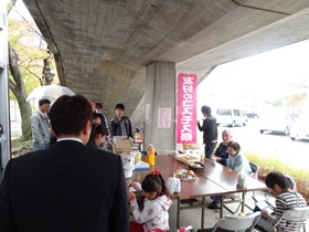 鳴門市友好コスモス祭り