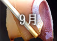 2017年9月のカレンダー