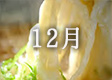 2017年12月のカレンダー