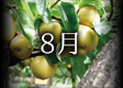 2016年8月のカレンダー