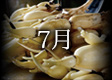 2016年7月のカレンダー